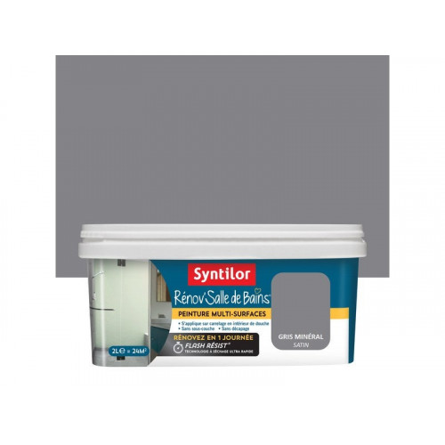 SYNTILOR Peinture salle de bains Rénov'salle de bains gris minéral ...