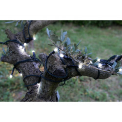 Guirlande Solaire Led 5M Blanc - BLACHERE ILLUMINATION