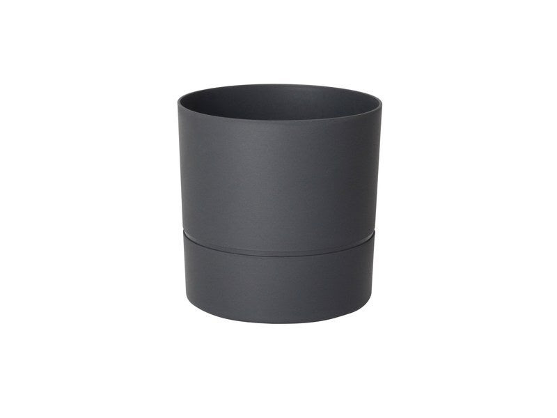 Eda Gris/Argent