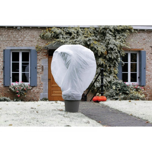 Voile D'Hivernage Nortene Wintertex Blanc 30Gr/M2, 2X5M - NORTENE 