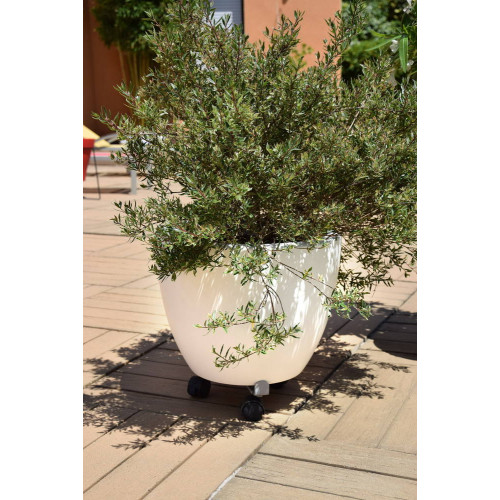 Roule plante extensible gris alu - 27-37 cm - Acier époxy - Louis Moulin