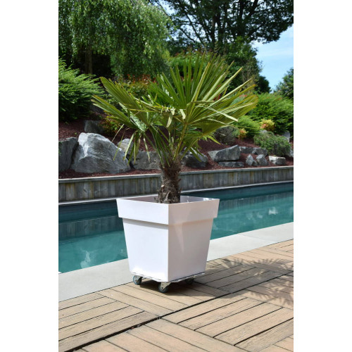 Roule plante ALU - 34x34 cm - Aluminium - Louis Moulin