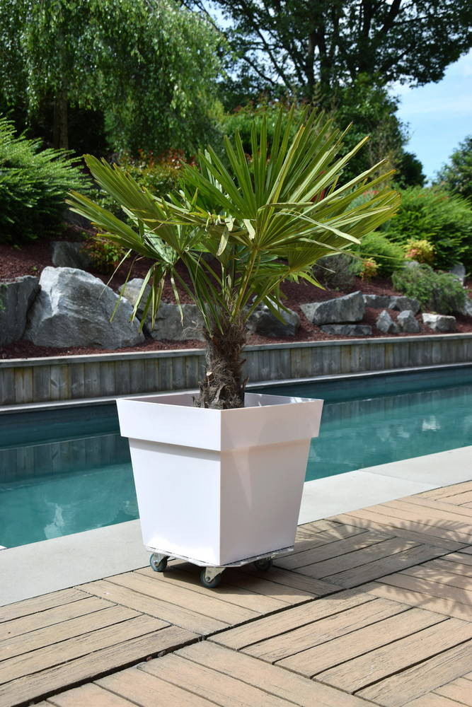 Roule-plante Extensible En Fer Vieilli 34-51 Cm - Made In France, 4 Roulettes, Charge 100 Kg