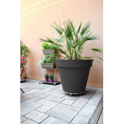 Roule-plantes ALU rond - 50 cm - Aluminium - Louis Moulin