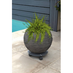 Roule plante disgn anthracite - 30 cm - Acier époxy - Louis Moulin