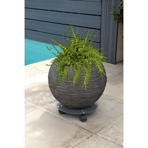 Roule plante disgn anthracite - 30 cm - Acier époxy - Louis Moulin