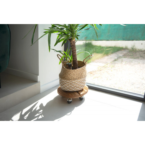 Roule plante BOIS rond naturel - 30 cm - Bois - Louis Moulin