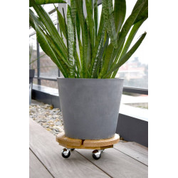 Roule plante BOIS rond naturel - 30 cm - Bois - Louis Moulin