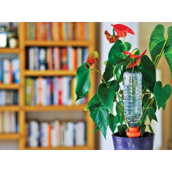 Cône Aquasolo pack 3+1 orange pour les plantes en pot à la maison - HOZELOCK