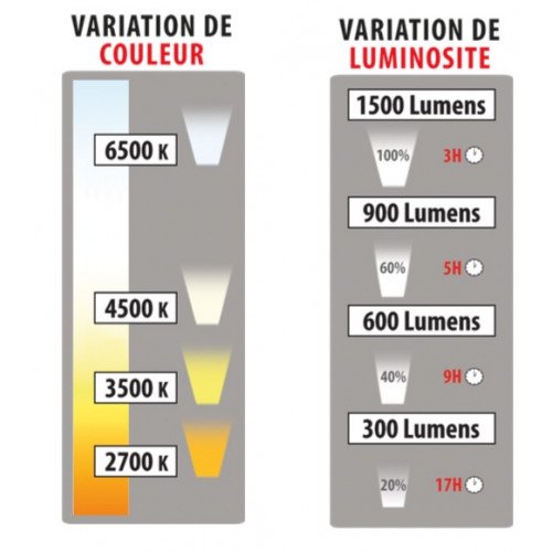 Projecteur rechargeable à température de couleur réglable - TECHMAN