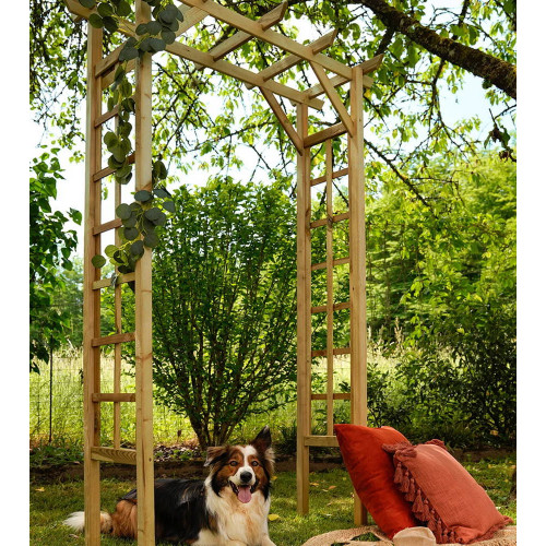 Pergola double droite en bois pin 140 x 214,5 x 60 cm - PASSIFLORE - Jardipolys