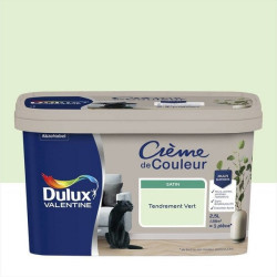 Peinture pour mur, Crème de couleur tendrement vert satiné 2.5 l de marque DULUX VALENTINE, référence: B7772800