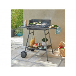 Barbecue charbon de bois en acier de couleur Gris - SOMAGIC