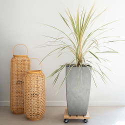 Roule-plante en bois carré brut "Basics" 30 x 30 cm - Louis Moulin