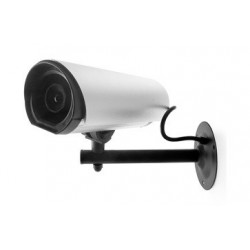Caméra de surveillance factice avec voyant lumineux - Avidsen
