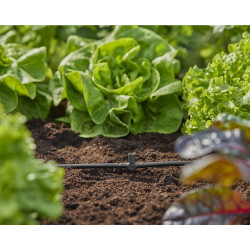 Dérivations en T pour micro-asperseurs 4.6 mm - Easy & Flexible - Boîte de 10 pièces - GARDENA