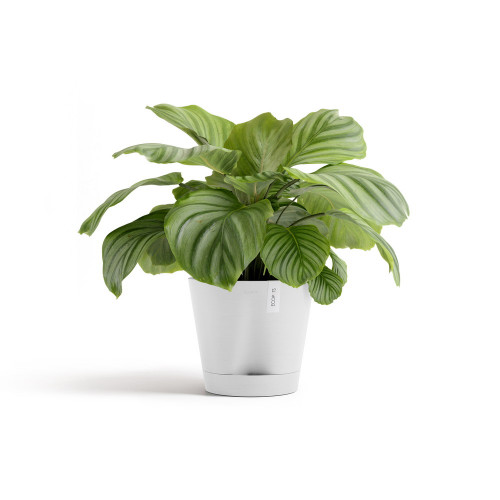 Pot Rond Venice 2 Blanc Pur + réservoir d'eau - Ø 30 x H. 26,3 cm - 4 L - ECOPOTS