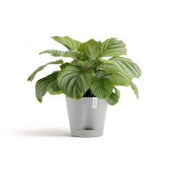 Pot Rond Venice 2 Blanc Gris + réservoir d'eau - Ø 30 x H. 26,3 cm - 4 L - ECOPOTS