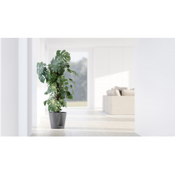 Pot Rond Venice 2 Gris + réservoir d'eau - Ø 30 x H. 26,3 cm - 4 L - ECOPOTS