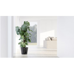 Pot Rond Venice 2 Gris Foncé + réservoir d'eau - Ø 30 x H. 26,3 cm - 4 L - ECOPOTS