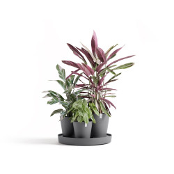 Ensemble de 3 pots Dubai Gris - Ø 57 x H. 30 cm - support à roulettes - ECOPOTS