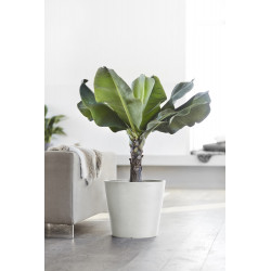 Pot Rond Amsterdam 40 Blanc Pur - Ø 40 x H. 35 cm - 28 L - ECOPOTS