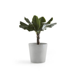 Pot Rond Amsterdam 50 Blanc Gris - Ø 50 x H. 43,8 cm - 62 L - ECOPOTS