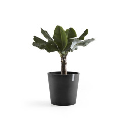 Pot Rond Amsterdam 50 Gris Foncé - Ø 50 x H. 43,8 cm - 62 L - ECOPOTS