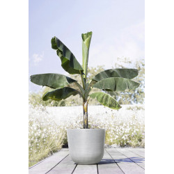 Pot Rond Oslo 45 Blanc Gris - Ø 45 x H. 39,2 cm - 46,6 L - ECOPOTS