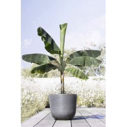 Pot Rond Oslo 45 Gris - Ø 45 x H. 39,2 cm - 46,6 L - ECOPOTS