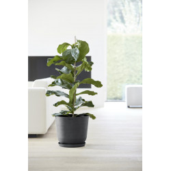 Pot Rond Oslo 35 Gris Foncé - Ø 35 x H. 30,5 cm - 21,7 L - ECOPOTS