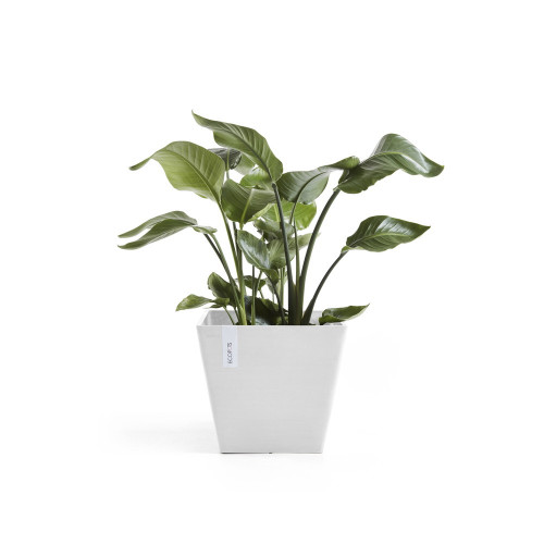 Pot Carré Rotterdam 30 Blanc Pur - 30 x 30 x H. 26 cm - 17 L - ECOPOTS