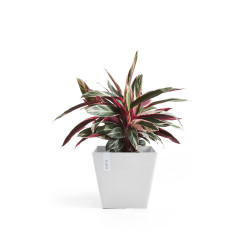 Pot Carré Rotterdam 30 Blanc Pur - 30 x 30 x H. 26 cm - 17 L - ECOPOTS