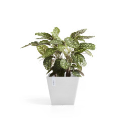 Pot Carré Rotterdam 30 Blanc Pur - 30 x 30 x H. 26 cm - 17 L - ECOPOTS