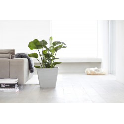 Pot Carré Rotterdam 40 Blanc Gris - 40 x 40 x H. 35 cm - 37,6 L - ECOPOTS