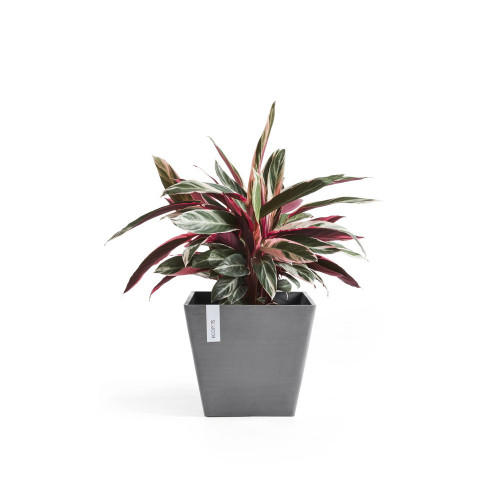 Pot Carré Rotterdam 30 Gris - 30 x 30 x H. 26 cm - 17 L - ECOPOTS