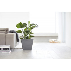 Pot Carré Rotterdam 40 Gris - 40 x 40 x H. 35 cm - 37,6 L - ECOPOTS