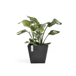 Pot Carré Rotterdam 30 Gris Foncé - 30 x 30 x H. 26 cm - 17 L - ECOPOTS