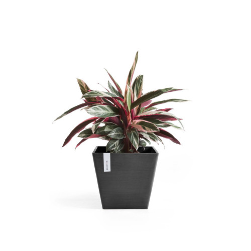 Pot Carré Rotterdam 30 Gris Foncé - 30 x 30 x H. 26 cm - 17 L - ECOPOTS