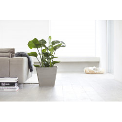 Pot Carré Rotterdam 40 Taupe - 40 x 40 x H. 35 cm - 37,6 L - ECOPOTS