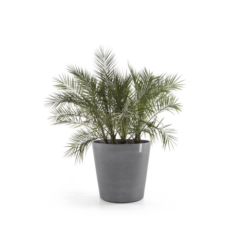 Grand pot sur roues Amsterdam 80 Gris - Ø 80 x H. 75 cm - 300 L - ECOPOTS