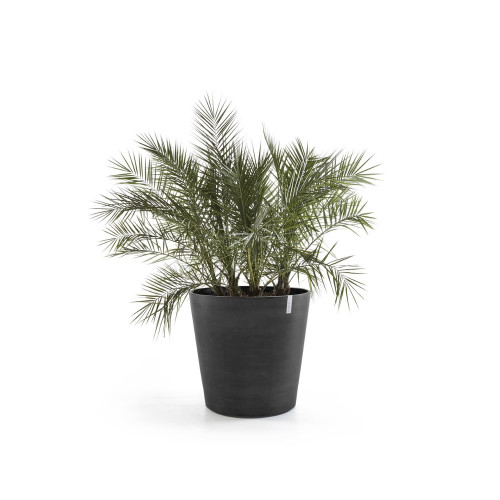 Grand pot sur roues Amsterdam 80 Gris Foncé - Ø 80 x H. 75 cm - 300 L - ECOPOTS