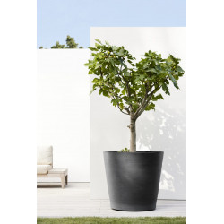 Grand pot sur roues Amsterdam 80 Gris Foncé - Ø 80 x H. 75 cm - 300 L - ECOPOTS