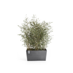 Jardinière Paris 60 Gris - 60 x 26 x H. 40 cm - 46,7 L - ECOPOTS