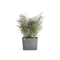 Jardinière sur roues Paris 85 Gris - 85 x 40 x H. 65 cm - 152 L - ECOPOTS