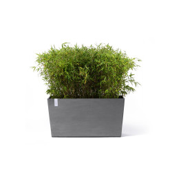 Jardinière sur roues Paris 100 Gris - 100 x 40 x H. 50 cm - 137 L - ECOPOTS