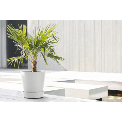 Support à roulettes Wheels 40 Blanc Pur - Ø 34,1 x H. 9 cm - ECOPOTS