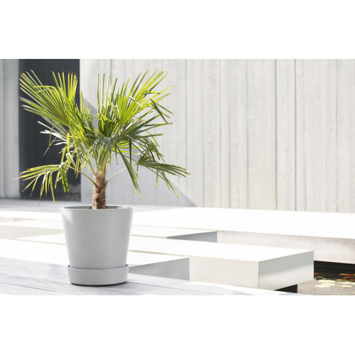 Support à roulettes Wheels 40 Blanc Gris - Ø 34,1 x H. 9 cm - ECOPOTS