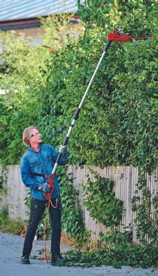 Tagliasiepi Telescopico Elettrico Einhell GC-HH 5056 - 500W, Lame Affilate, Allungabile Fino A 250 Cm - Foto 11