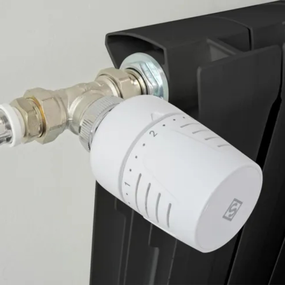 SOMATHERM FOR YOU thermostatique T302 droit universel en la...